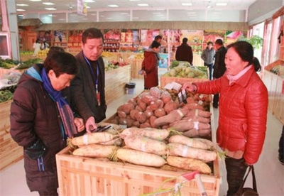 苍南县无公害农产品直销中心暨标牌标识食用农产品营销专区设立